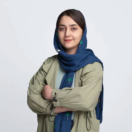شرکت پازلی