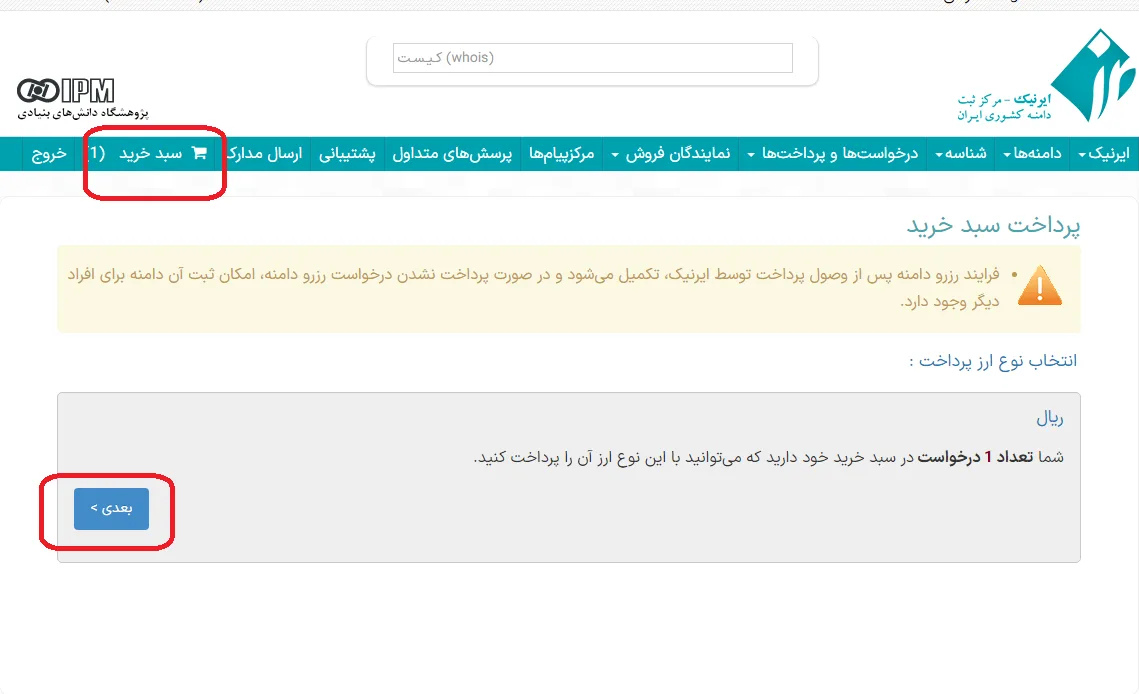 آموزش خرید دامنه و دریافت شناسه ایرنیک 9 05