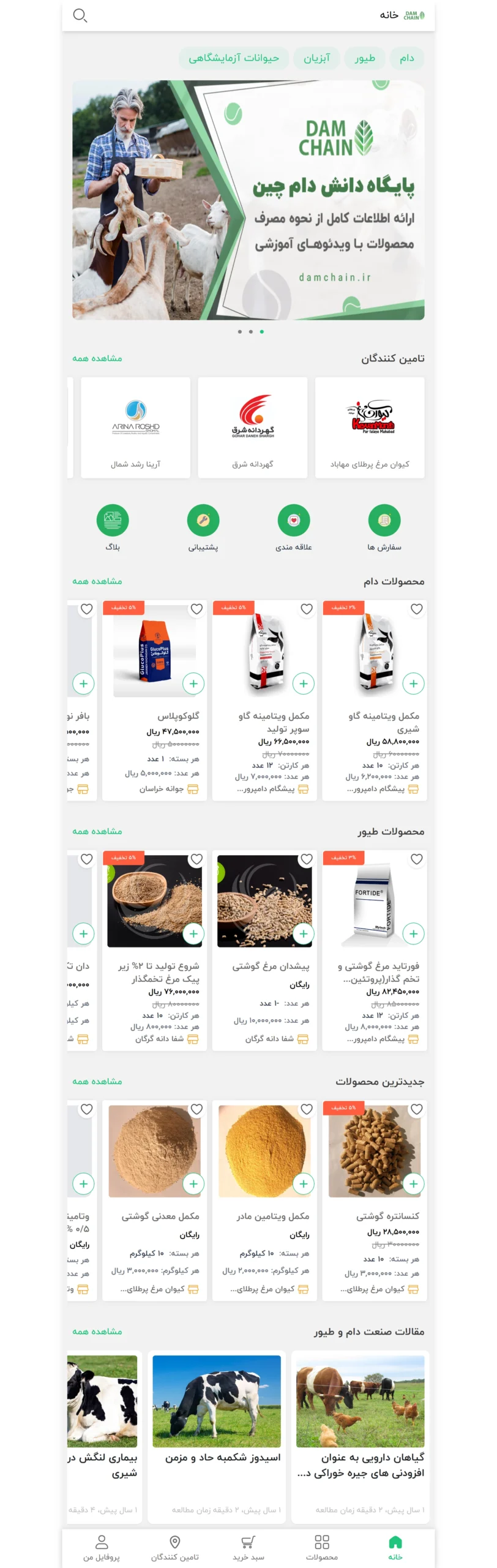 دام چین